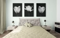 bedroom-with-whitewashed-wood-furniture